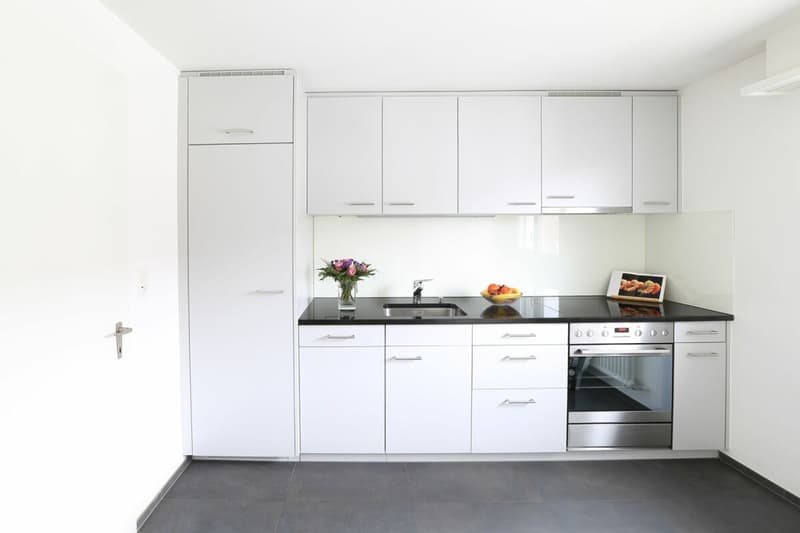 3.5-Room Attic Apartment in Basel (2)
