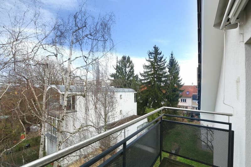 3.5-Room Attic Apartment in Basel (7)