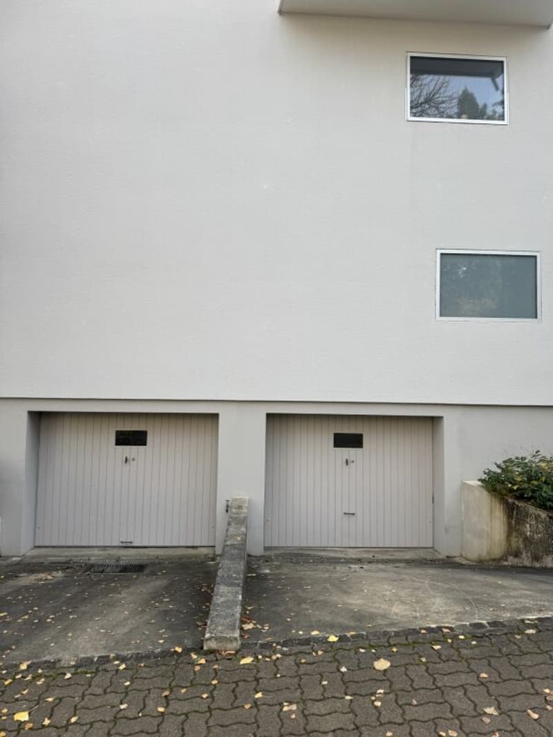 Garage in affitto (2)