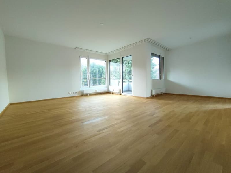 Grosse 4.5-Zimmerwohnung in Reinach (2)
