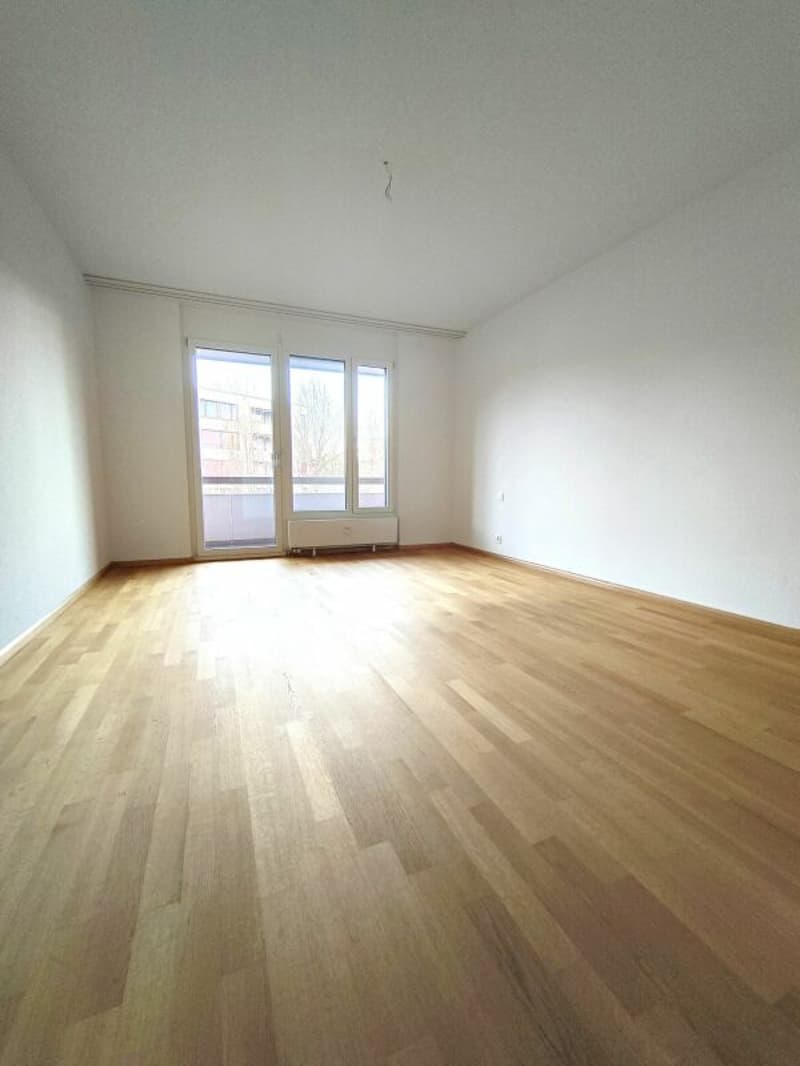 Grosse 4.5-Zimmerwohnung in Reinach (3)