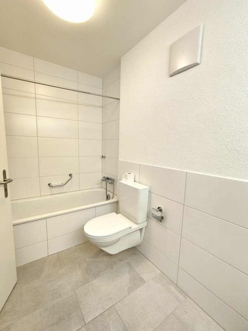Grosse 4.5-Zimmerwohnung in Reinach (9)