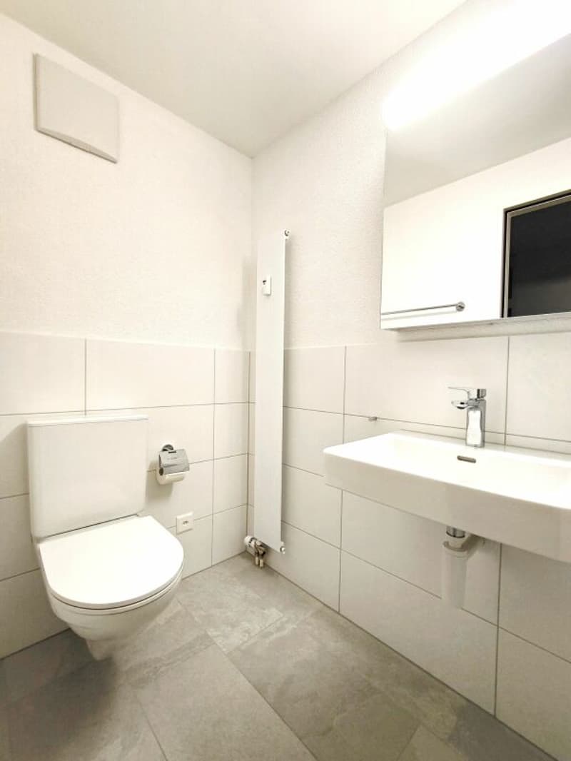 Grosse 4.5-Zimmerwohnung in Reinach (7)