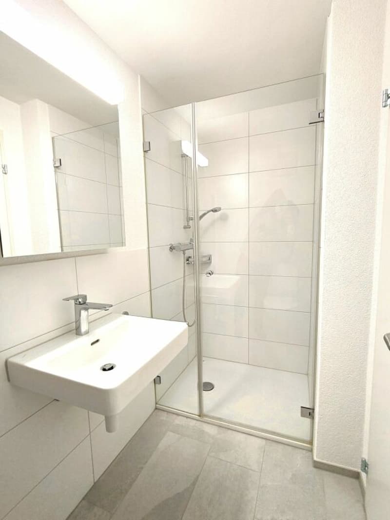 Grosse 4.5-Zimmerwohnung in Reinach (10)