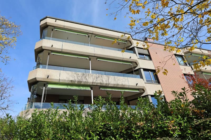 Moderne 5-Zimmerwohnung in Aesch (11)