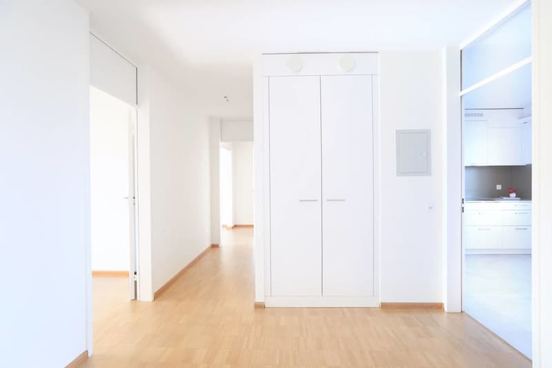Moderne 5-Zimmerwohnung in Aesch (4)
