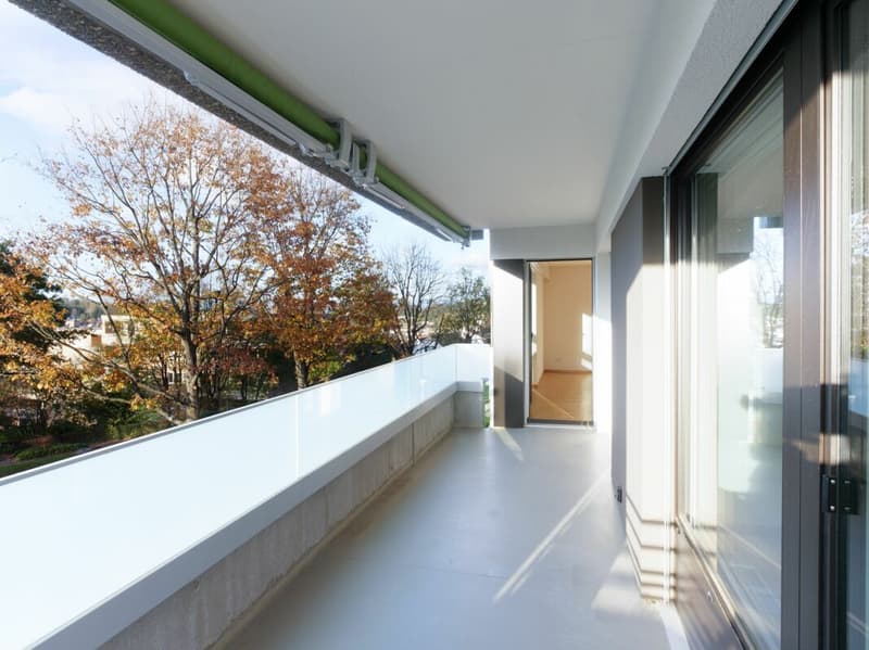Moderne 4.5-Zimmerwohnung in Oberwil (10)