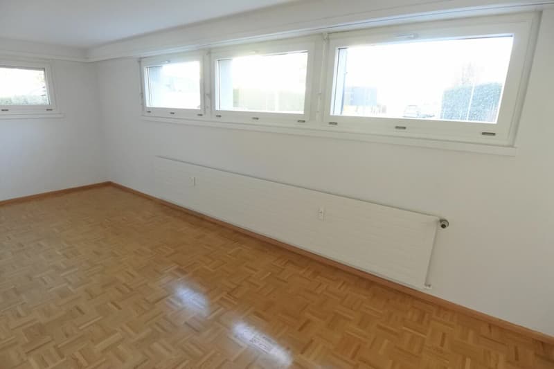 Stilles Gewerbe / Büro / Atelier / Praxis (5)