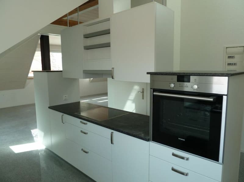 topmoderne 3.5 Zimmer Dachwohnung (3)