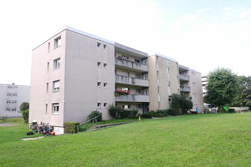 Sanierte 3.5 Zimmerwohnung in ruhigem Quartier (1)