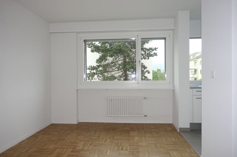 Moderne 4.5-Zimmerwohnung in Reinach (11)