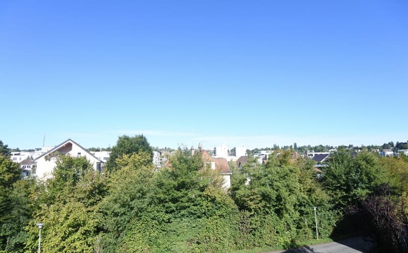 2.5-Zimmerwohnung in Oberwil (7)
