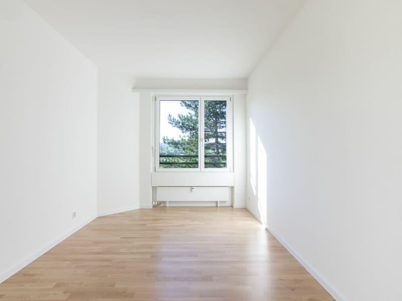 Grosszügige 5.5 Zimmerwohnung in Aesch (6)