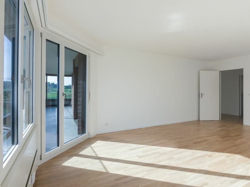 Grosszügige 5.5 Zimmerwohnung in Aesch (10)