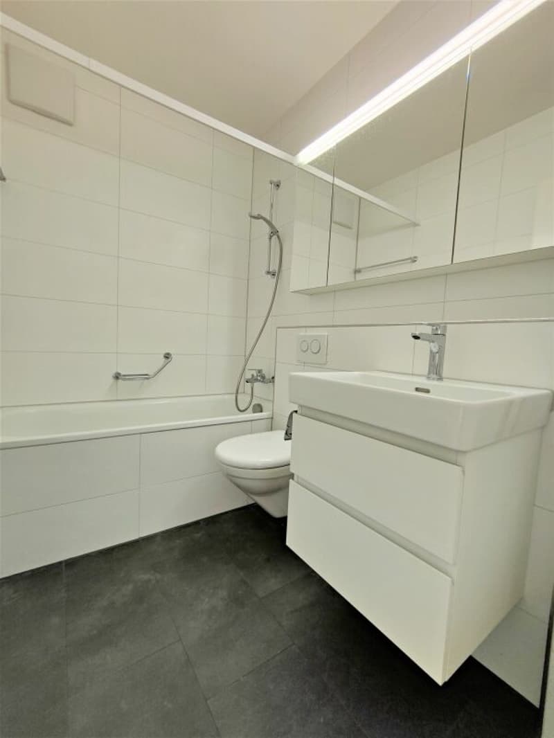 3.0-Zimmerwohnung in Birsfelden (4)