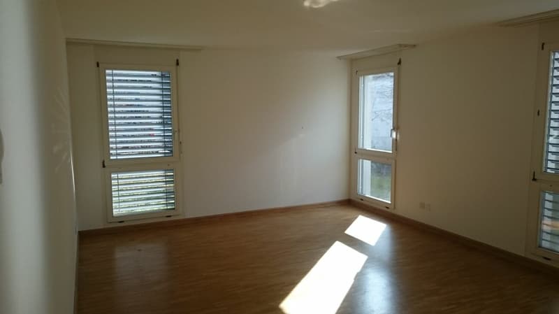 4.5-Zimmerwohnung in Dornach (3)