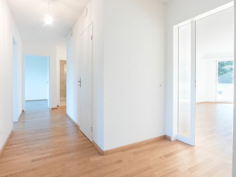 4-Zimmerwohnung in Aesch (2)