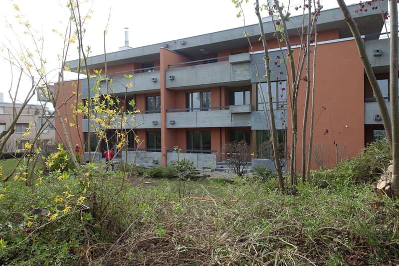 Grosse 4.5-Zimmerwohnung in Reinach (1)