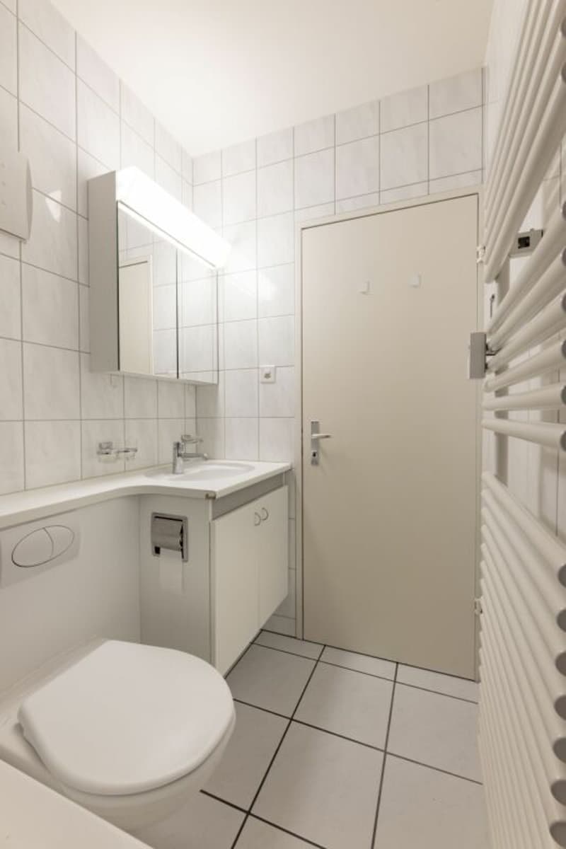 3.5-Zimmerwohnung in Birsfelden (4)