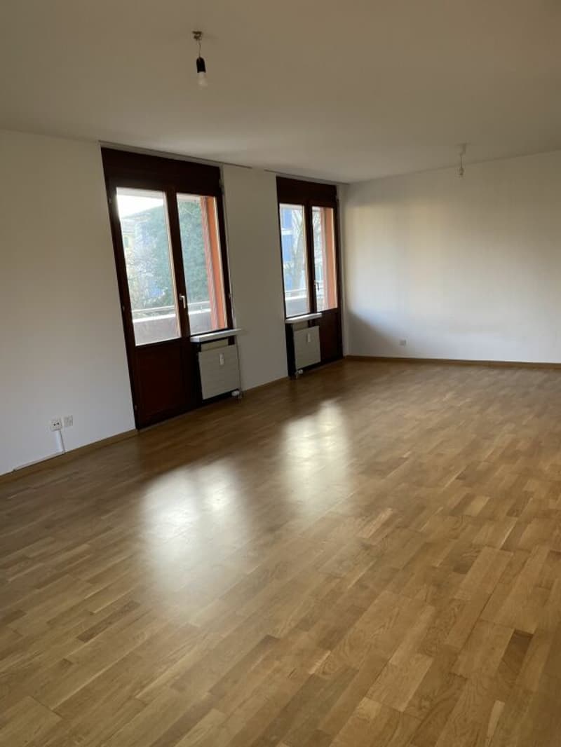 3-Zimmerwohnung in Allschwil (3)