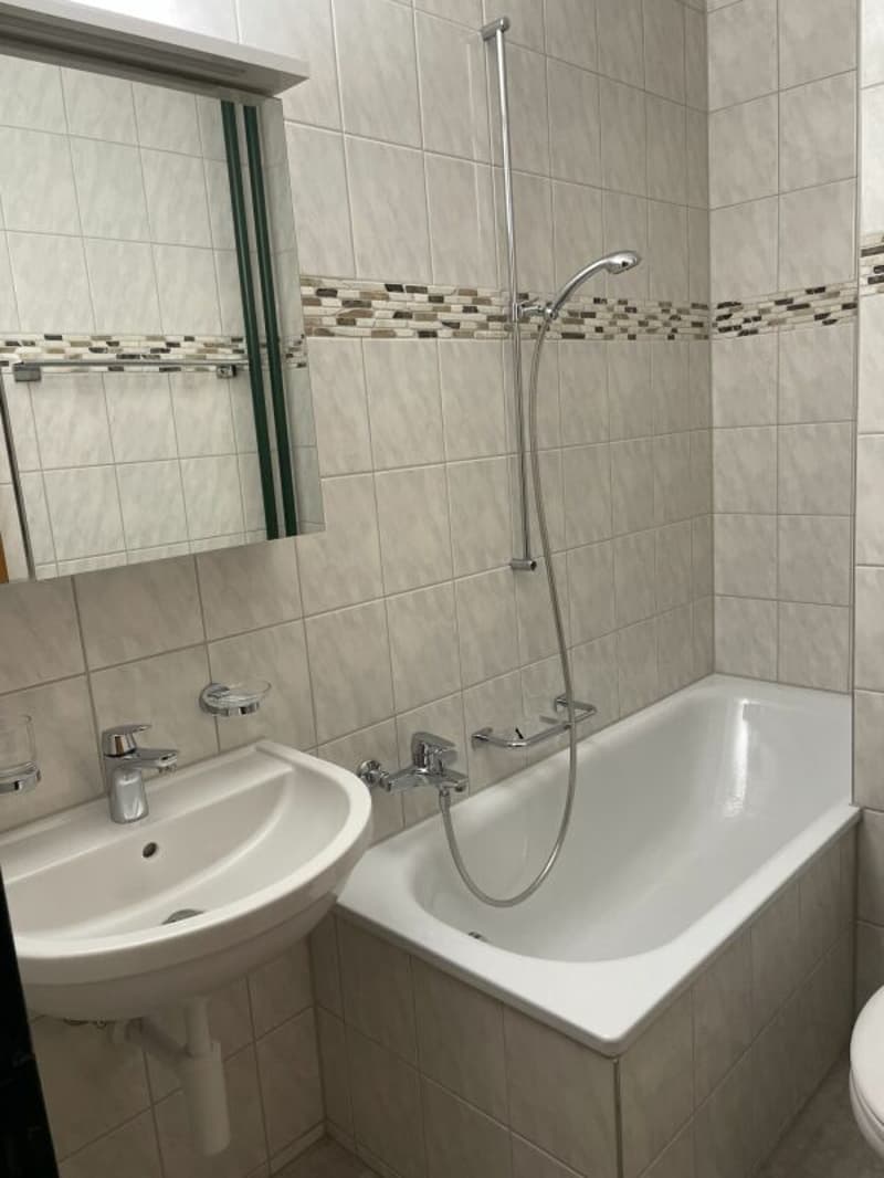 3-Zimmerwohnung in Allschwil (7)