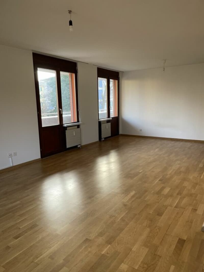 3-Zimmerwohnung in Allschwil (2)