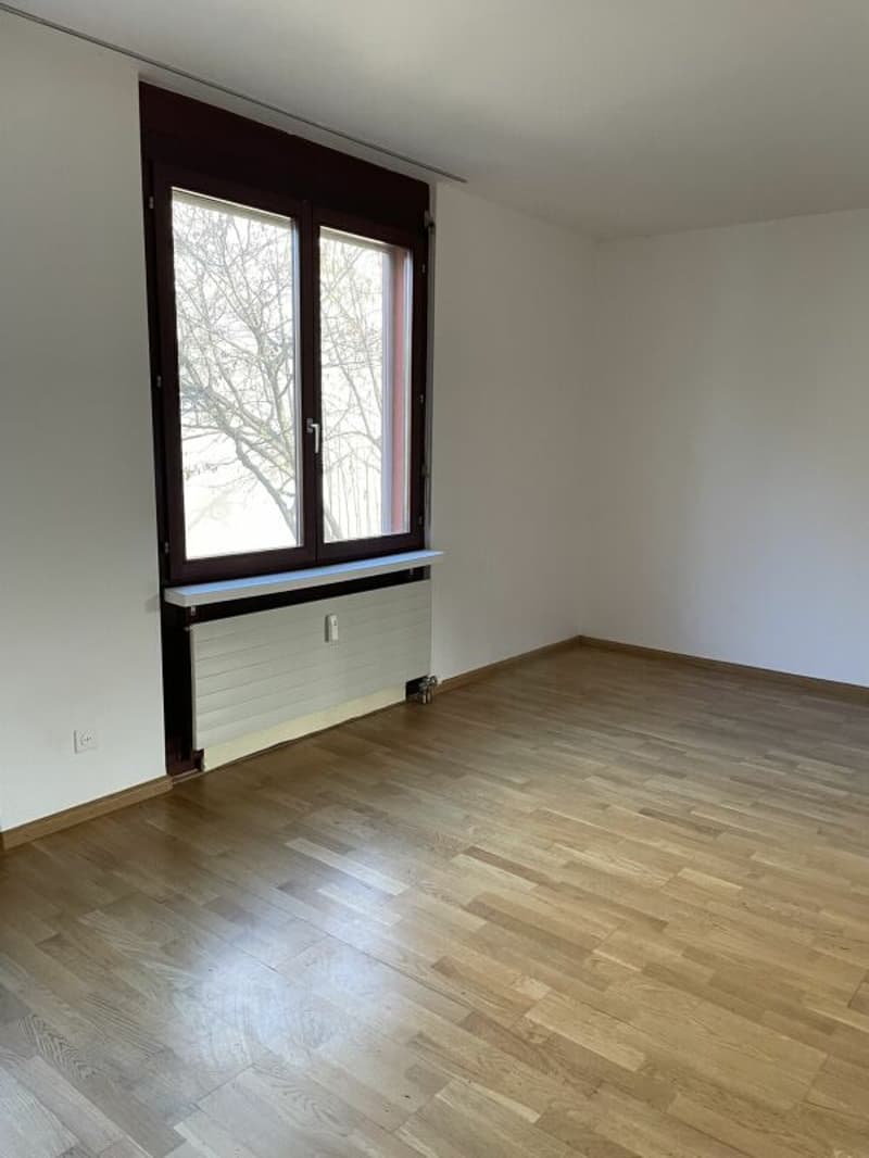 3-Zimmerwohnung in Allschwil (5)