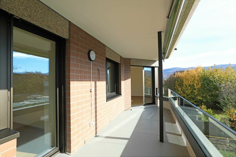Moderne 4-Zimmerwohnung in Aesch (9)