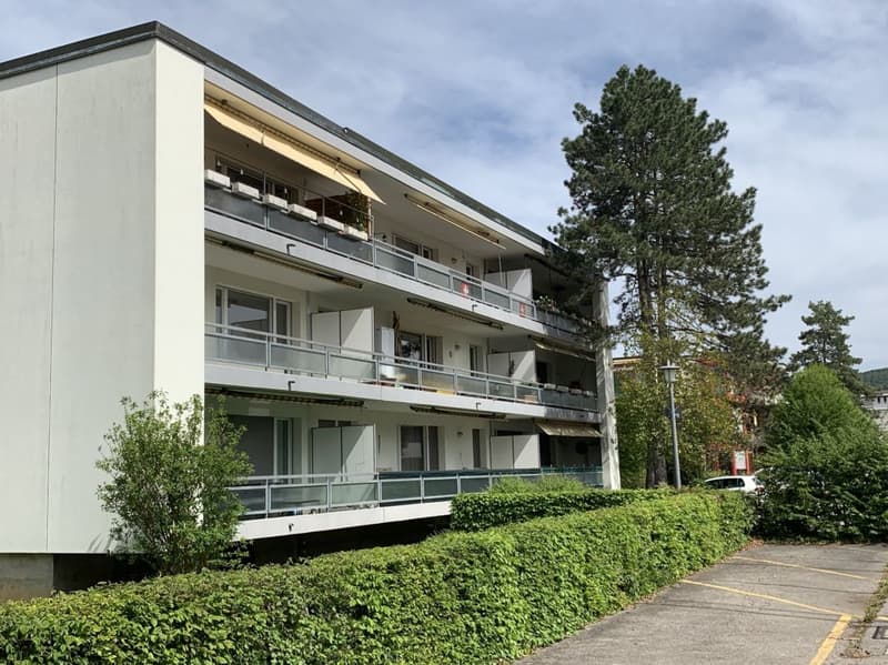 4.5-Zimmerwohnung in Reinach (9)