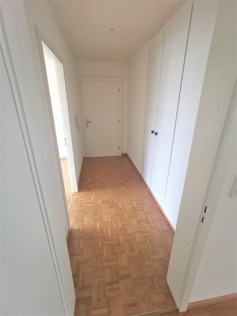 4.5-Zimmerwohnung in Reinach (5)