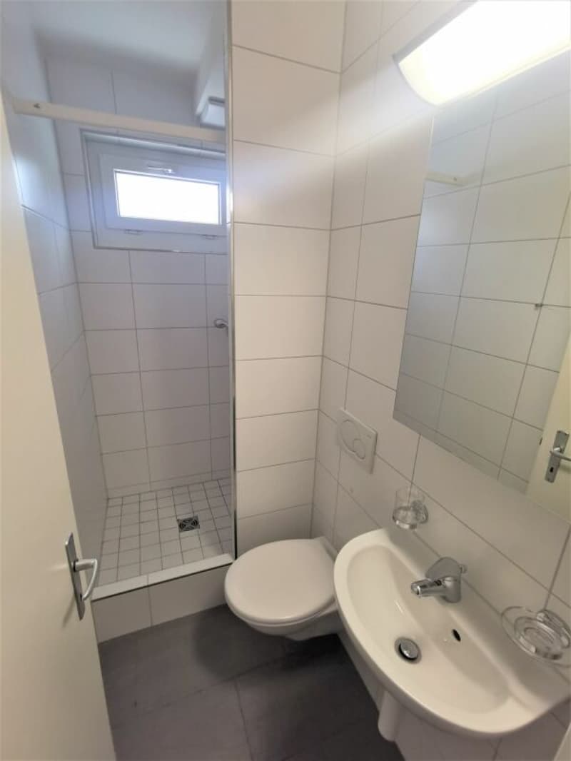 4.5-Zimmerwohnung in Reinach (4)