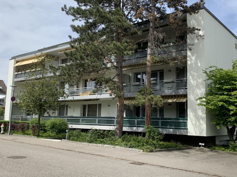 4.5-Zimmerwohnung in Reinach (1)