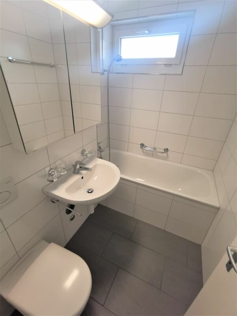 4.5-Zimmerwohnung in Reinach (3)