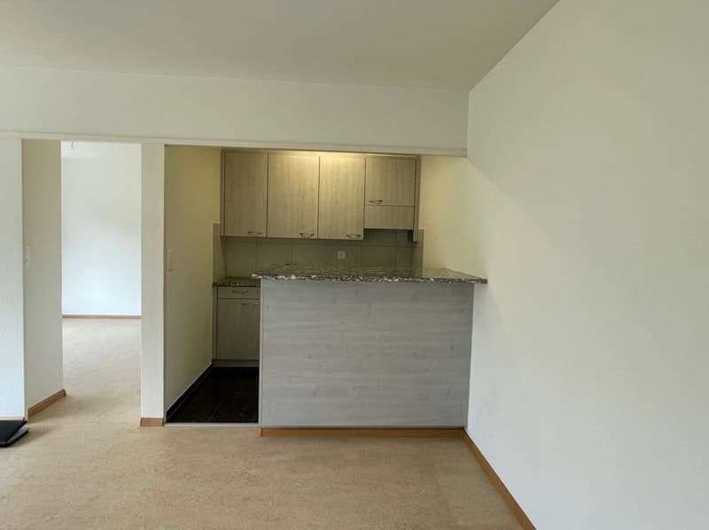 2-Zimmerwohnung in Birsfelden (5)