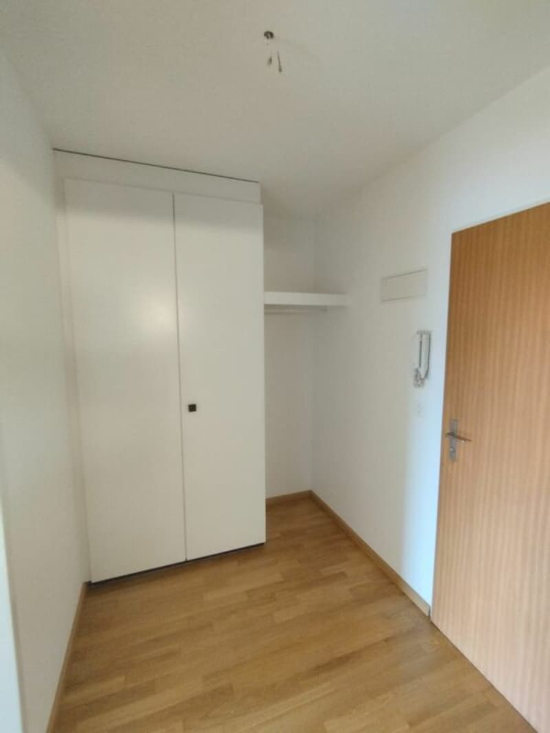 1-Zimmerwohnung in Binningen (3)