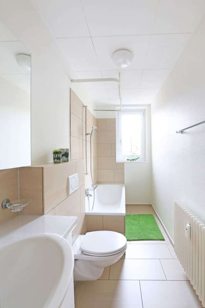 2-Zimmerwohnung in Basel (2)
