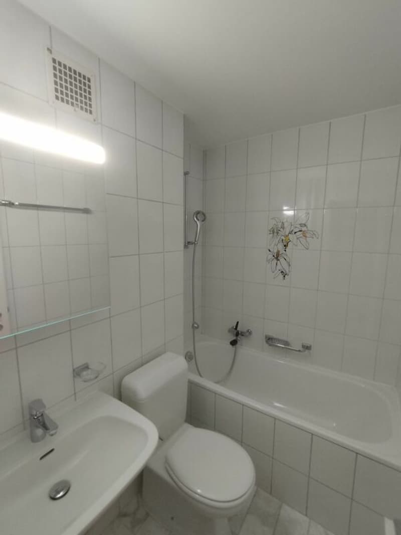 2-Zimmerwohnung in Basel (3)