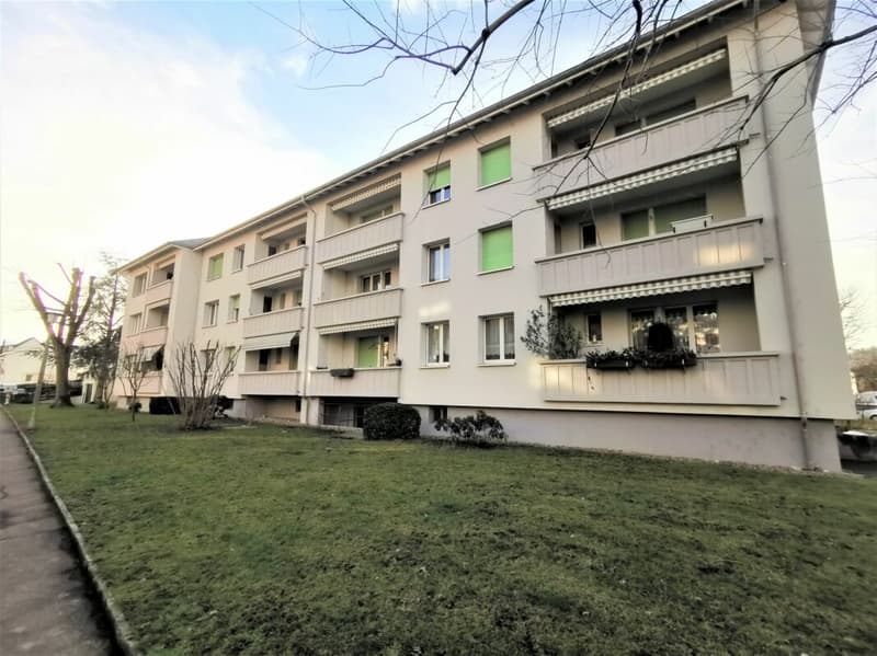 2-Zimmerwohnung in Reinach (1)