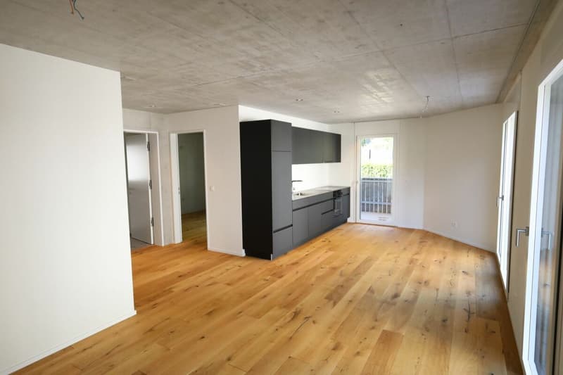 Moderne 2-Zimmerwohnung in Liestal (4)