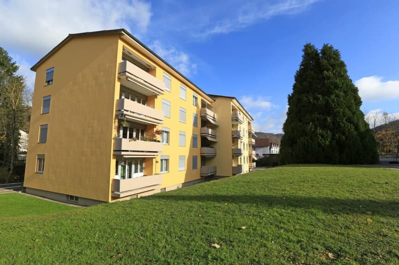 3.5-Zimmerwohnung in Gelterkinden (1)