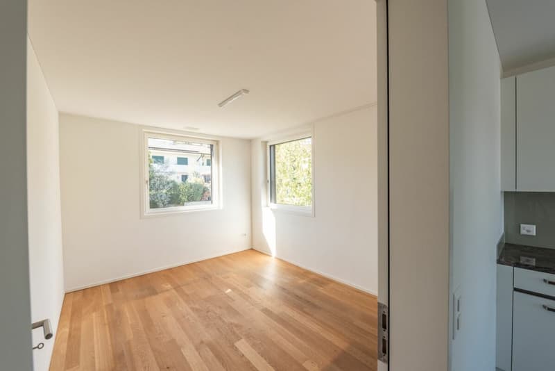 Exklusive 4 1/2-Zimmer Eigentumswohnung in bevorzugter Lage (13)