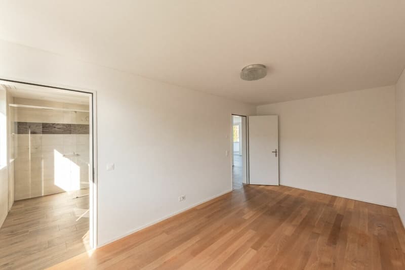 Exklusive 4 1/2-Zimmer Eigentumswohnung in bevorzugter Lage (14)