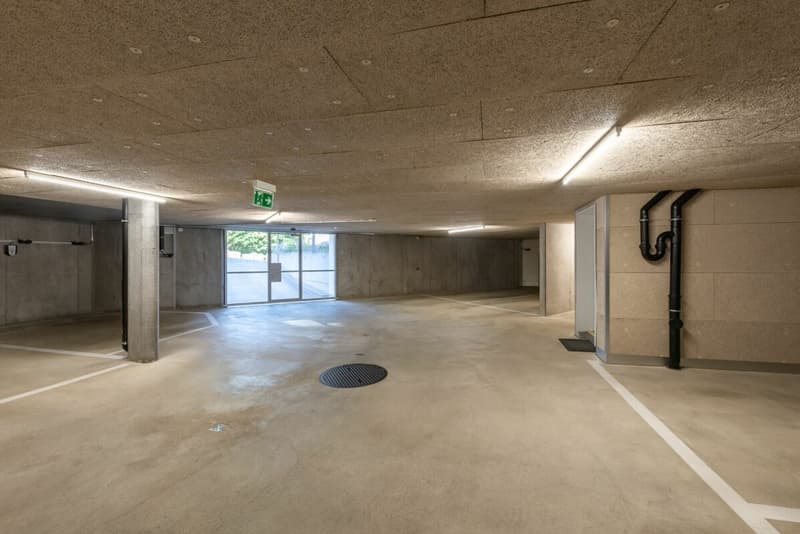 Exklusive 4 1/2-Zimmer Eigentumswohnung in bevorzugter Lage (18)