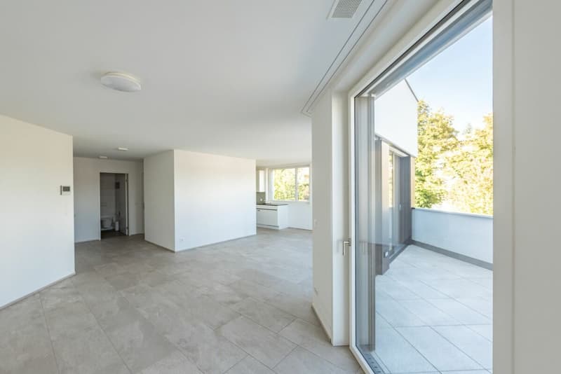 Exklusive 4 1/2-Zimmer Eigentumswohnung in bevorzugter Lage (6)