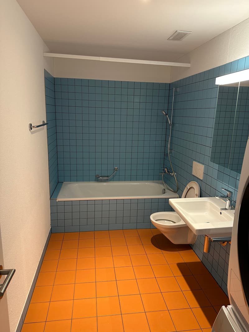 Hochmoderne 2.5-Zimmer-Maisonette im beliebten Hochbord-Quartiert - sofort verfügbar (4)