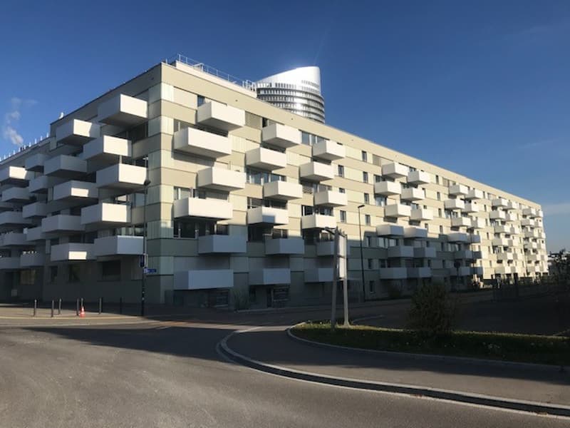 Hochmoderne 2.5-Zimmer-Maisonette im beliebten Hochbord-Quartiert - sofort verfügbar (1)