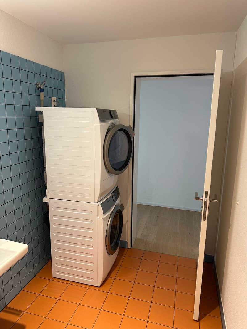 Hochmoderne 2.5-Zimmer-Maisonette im beliebten Hochbord-Quartiert - sofort verfügbar (5)