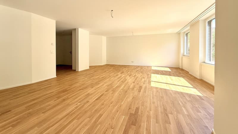 Grosszügige 3.5 Zimmer-Wohnung mit 115m² im Brünnlipark Opfikon (6)