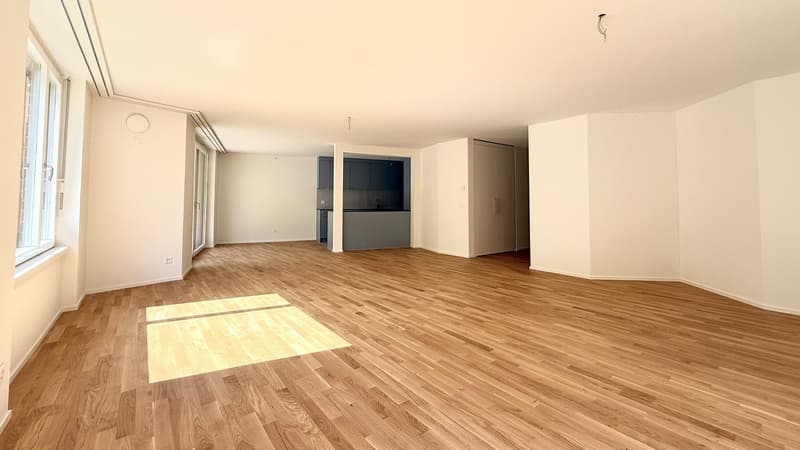 Grosszügige 3.5 Zimmer-Wohnung mit 115m² im Brünnlipark Opfikon (4)