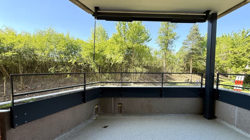 Platz für die ganze Familie 4.5 Zimmer mit zwei Balkonen im Brünnlipark (10)